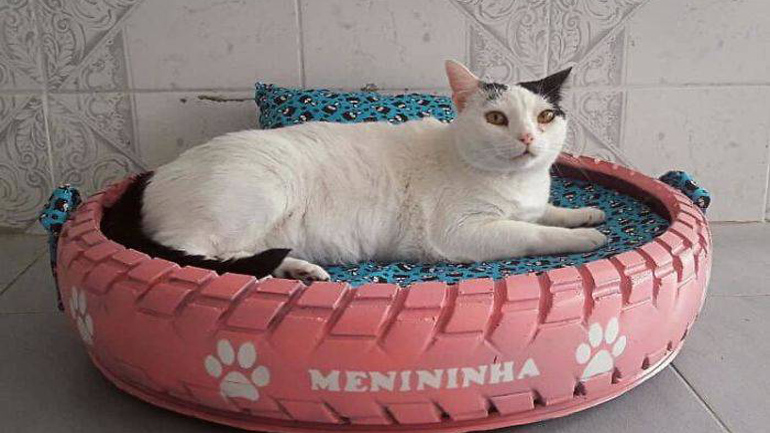 Καλλιτέχνης από τη Βραζιλία μετατρέπει παλιά ελαστικά σε σπιτάκια για κατοικίδια