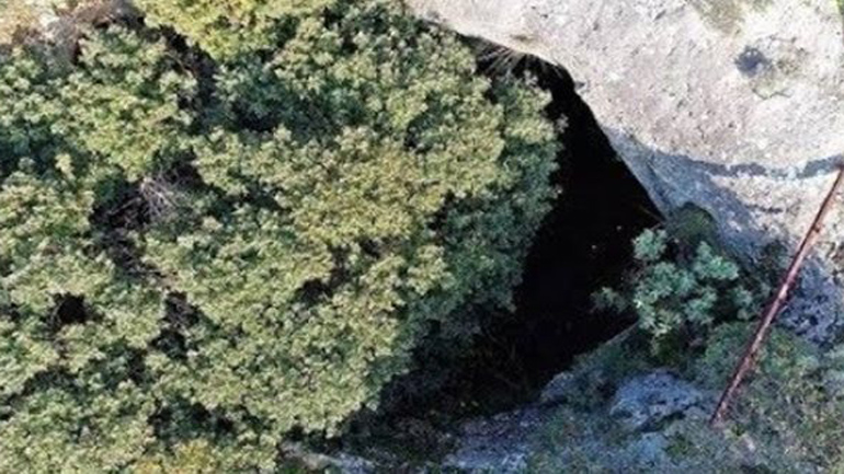 Φωλιά με… πάνθηρες μόλις 45 λεπτά από το κέντρο της Αθήνας 