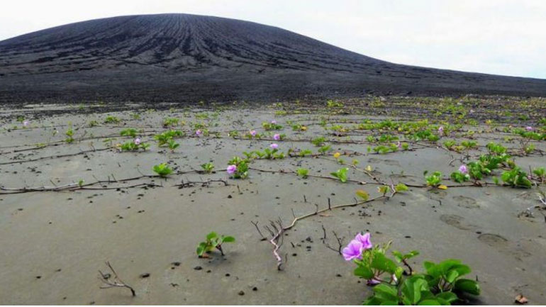 Νέο νησί στον Ειρηνικό εξερευνεί η ΝASA
