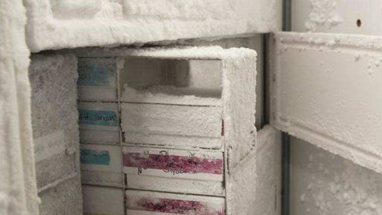 Κροατία: Πτώμα φοιτήτριας επί 18 χρόνια στον καταψύκτη της αδελφής της