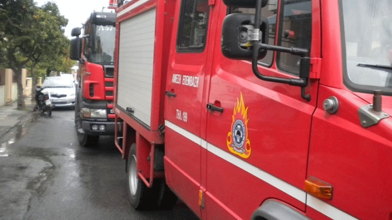 Βέροια: Πυρκαγιά σε ξερά χόρτα στην Εγνατία Οδό