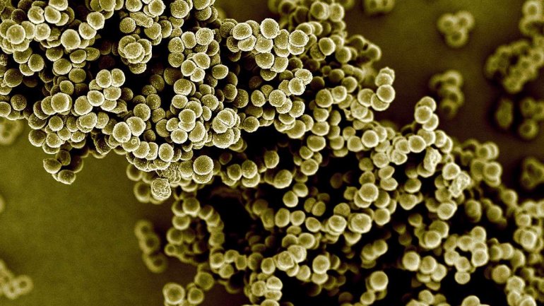 Πώς μπορείτε να μειώσετε τον κίνδυνο λοίμωξης από ανθεκτικά βακτήρια