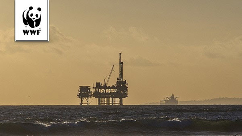 Επιστολή 4 γραφείων της WWF στον πρωθυπουργό για το θέμα των εξορύξεων Επιστολή 4 γραφείων της WWF στον πρωθυπουργό για το θέμα των εξορύξεων