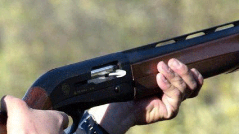 Θεσπρωτία: Καταγγελίες για νεκρά άλογα από πυροβολισμούς με κυνηγετικό όπλο