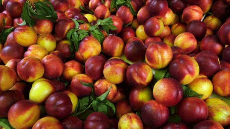 Σερβία: «Βάφτιζαν» ελληνικά ροδάκινα για σερβικά και τα πουλούσαν στη Ρωσία