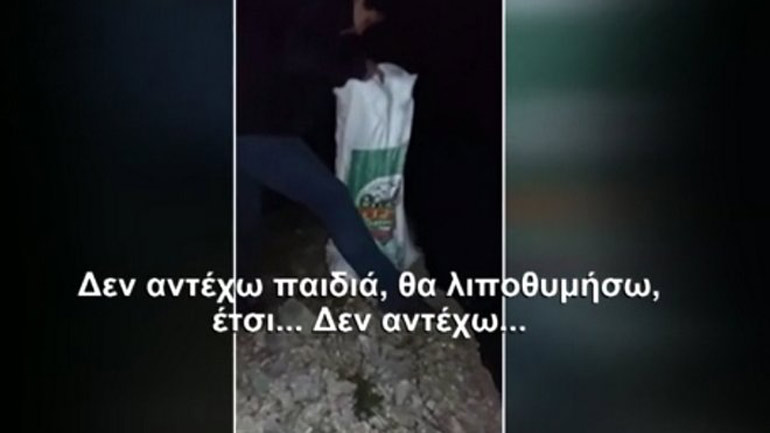 Κτηνωδία στην Ανδρίτσαινα – Πέταξαν 18 νεογέννητα κουτάβια στον γκρεμό