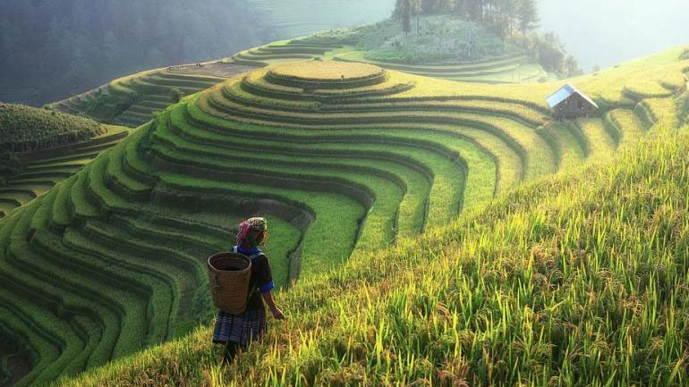 Κίνα: Άλμα καταγράφουν οι λιανικές πωλήσεις μέσω διαδικτύου στις αγροτικές περιοχές