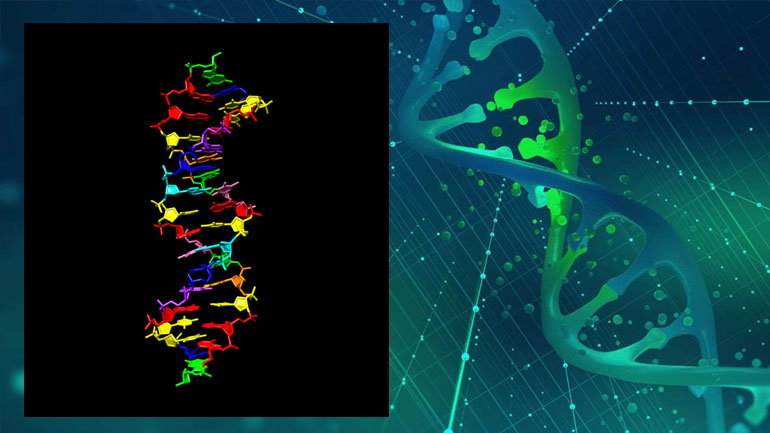 Επίτευγμα: Δημιουργήθηκε για πρώτη φορά DNA με οκτώ «γράμματα» του γενετικού αλφαβήτου