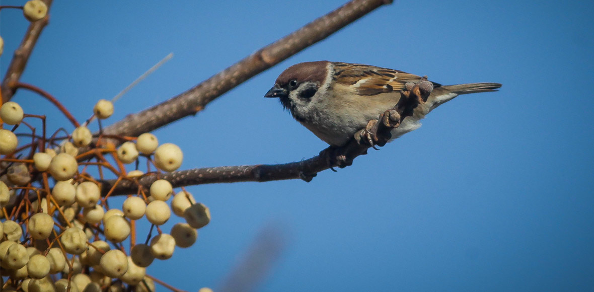 Περιμένοντας τη νέα κακοκαιρία