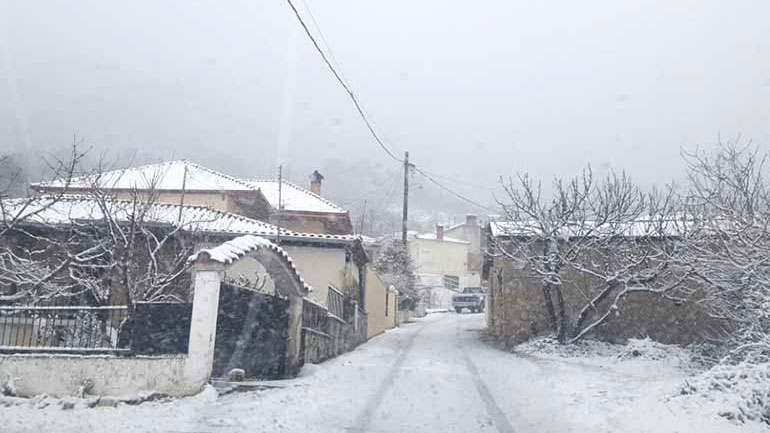 Έντονη χιονόπτωση στη δυτική Θεσσαλία – Ξεπερνά το ύψος του χιονιού τα 20 εκατοστά