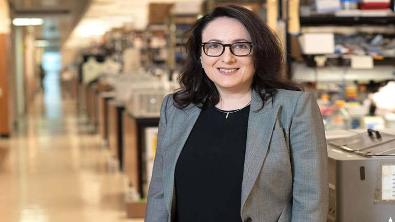 Διεθνές βραβείο σε Ελληνίδα επιστήμονα για καινοτομίες σχετικά με τη σκλήρυνση κατά πλάκας