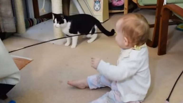 Δείτε πώς ένα μωρό μπορεί να τρελάνει ένα γατί