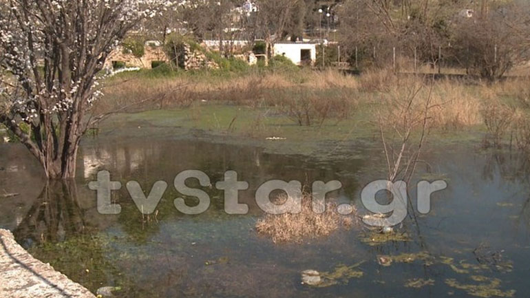 Χαλκίδα: Μυστήριο φαινόμενο – Η γη αναβλύζει νερό