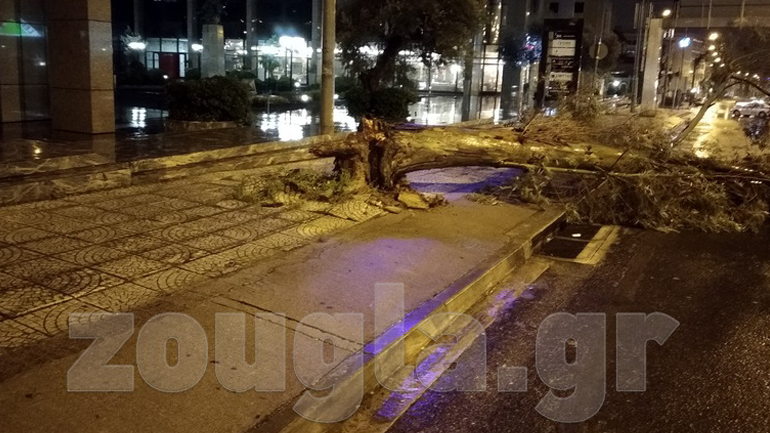 Πτώση δένδρου στο Μαρούσι