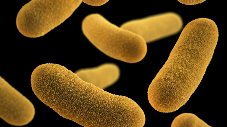 Νέα ανακάλυψη για το πώς τα βακτήρια εισέρχονται σε κατάσταση «ζόμπι»