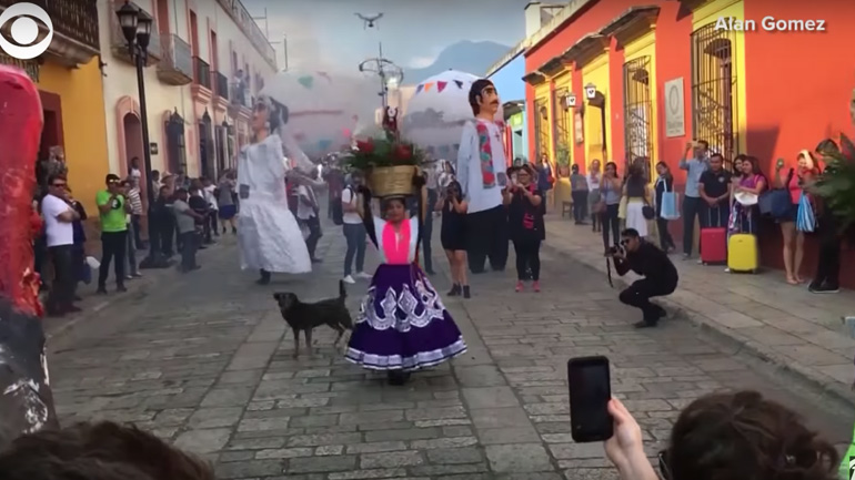 Σκύλος συμμετέχει σε παραδοσιακό χορό