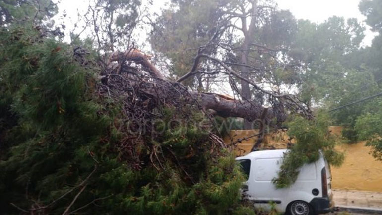 Χωρίς ρεύμα πολλές περιοχές του νομού Χανίων – Δέντρα έπεσαν πάνω σε οχήματα