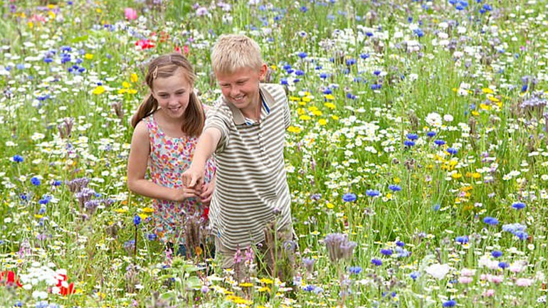 Τα παιδιά που μεγαλώνουν μέσα στο πράσινο έχουν καλύτερη ψυχική υγεία ως ενήλικες Τα παιδιά που μεγαλώνουν μέσα στο πράσινο έχουν καλύτερη ψυχική υγεία ως ενήλικες