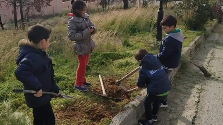 Βοηθήστε να βρεθούν δέντρα για τον οικισμό «Γλυκιά Ζωή»