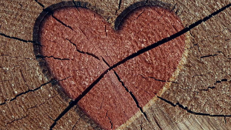 Πώς αντιδρούν τα ζώδια όταν νιώσουν απογοήτευση;