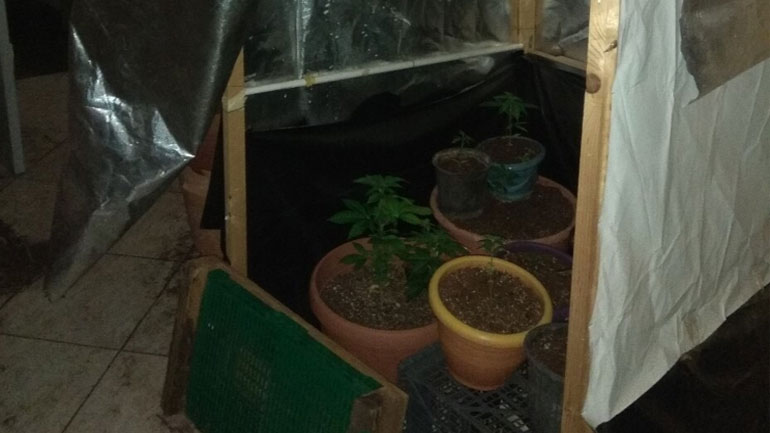 Κρήτη: Καλλιεργούσε κάνναβη μέσα στο σπίτι του