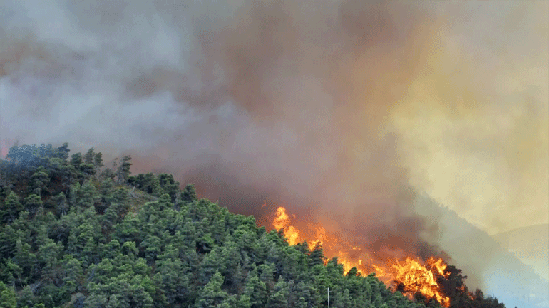 Τρίκαλα: Μαίνεται η πυρκαγιά σε δασική έκταση στην περιοχή Λογγιές