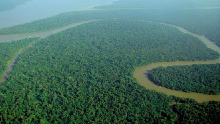 Kίνα και Ινδία δενδροφύτευσαν έκταση όσο το δάσος του Αμαζονίου
