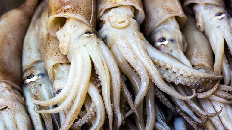 Τι πρέπει να προσέξετε στα ψώνια για τη Σαρακοστή – Χρήσιμες συμβουλές από τον ΕΦΕΤ