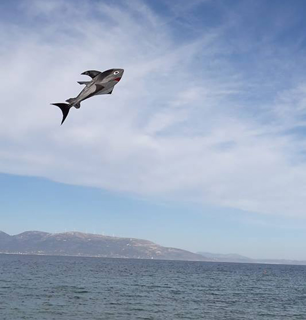 Κάποιοι συνεχίζουν να πετούν ακόμα... αετό! (φωτό από το FB του Δημήτρη Ραζή)