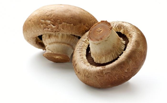 Η κατανάλωση μανιταριών μπορεί να μειώσει τον κίνδυνο γνωσιακής παρακμής