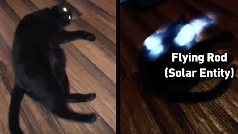 Τι συμβαίνει με αυτή τη γάτα;