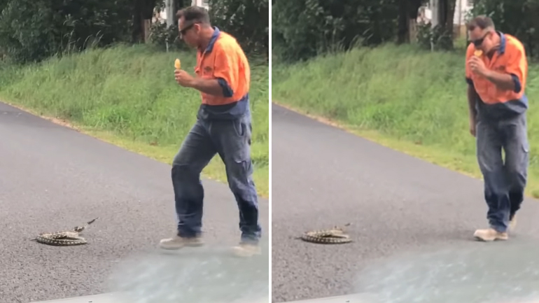 Άνδρας βγάζει από το δρόμο ένα φίδι ενώ τρώει παγωτό 