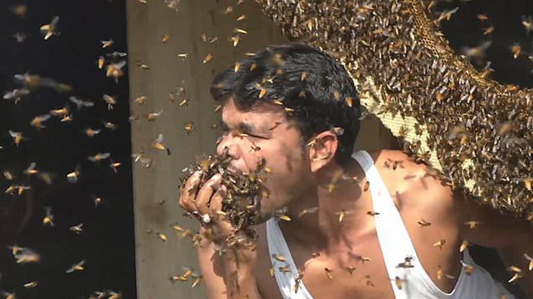 Μελισσοκόμος βάζει στο στόμα του ζωντανές μέλισσες