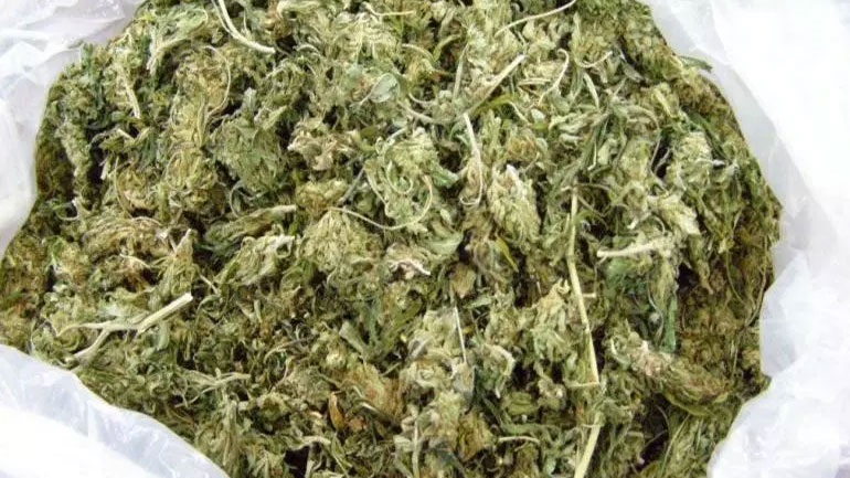 Συλλήψεις δύο ατόμων που κατείχαν σχεδόν δυο κιλά ακατέργαστης κάνναβης στη Μύκονο και στον Πειραιά