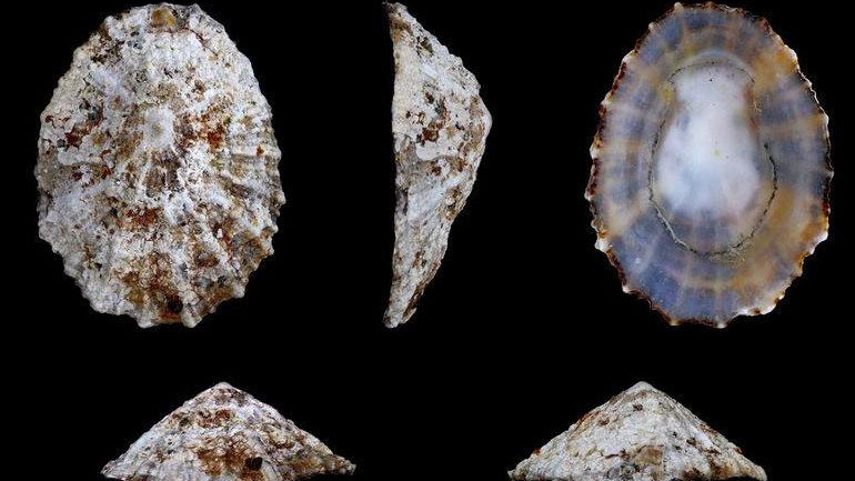 Έλληνες και ξένοι επιστήμονες ανέπτυξαν νέα τεχνική μελέτης των αρχαίων οστράκων μέσω λέιζερ