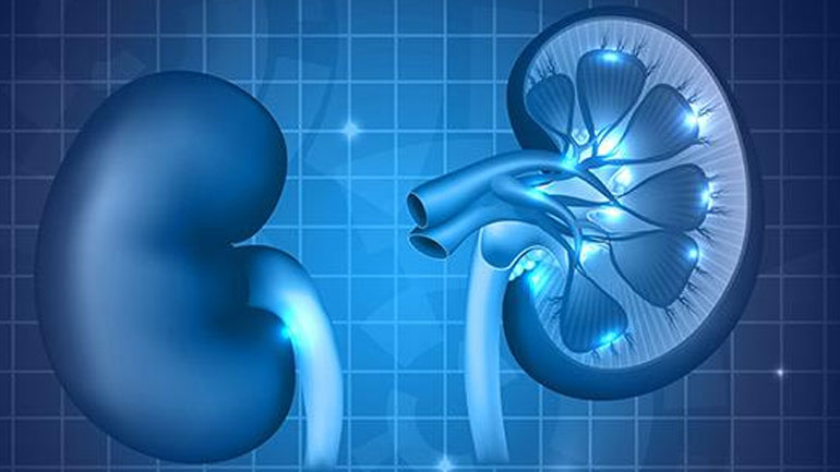 Χρόνια νεφρική νόσος και στυτική δυσλειτουργία