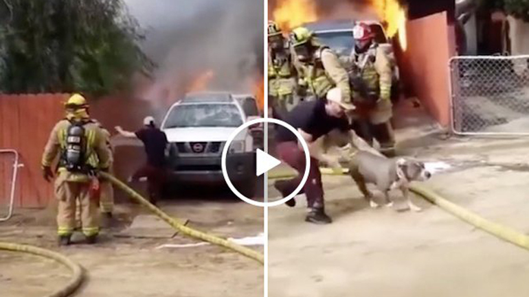 Μπήκε στο σπίτι που καιγόταν για να σώσει τον σκύλο του