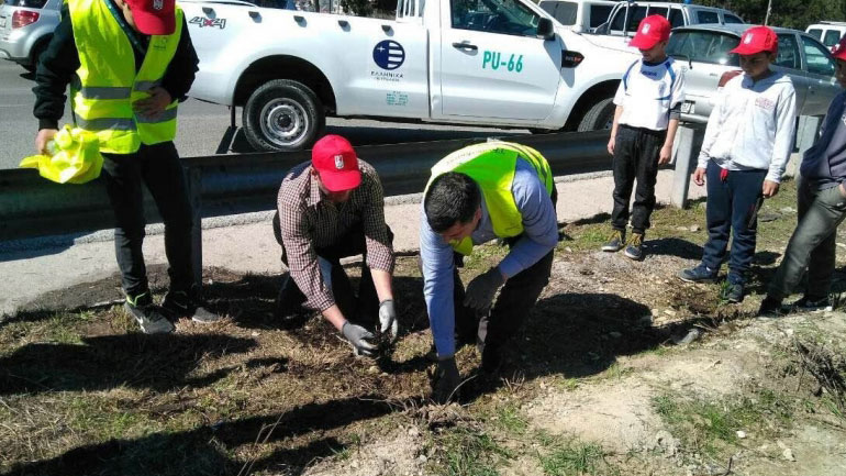 Βραδυφλεγή φυτά τοποθετήθηκαν στο Σέιχ Σου
