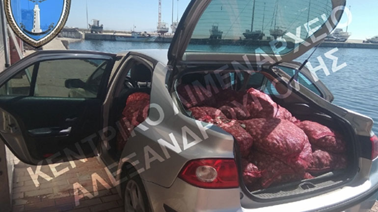 Ακατάλληλα όστρακα κατασχέθηκαν από το Λιμενικό στην Αλεξανδρούπολη