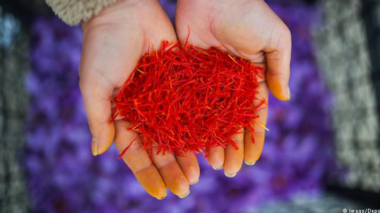 DW: Το ελληνικό μυστικό του κρόκου