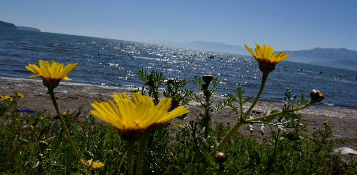 Μπήκε η άνοιξη