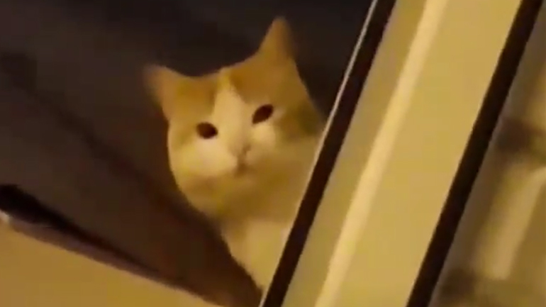 Τι γίνεται εκεί ωρέ;