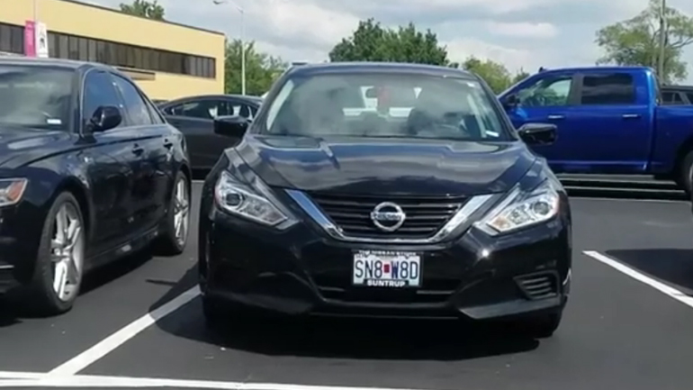 Μια γαλοπούλα φρουρεί ένα αυτοκίνητο