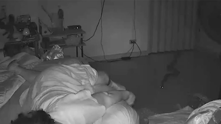 Πύθωνας επιτίθεται σε γυναίκα ενώ κοιμόταν