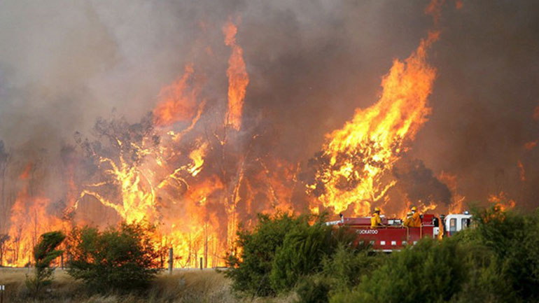 Πυρκαγιά στo Καλάμι Σπάρτης