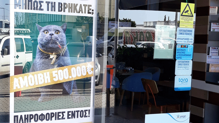 Kυνήγι σε όλη την Ελλάδα για μία γάτα με αμοιβή 500.000 ευρώ