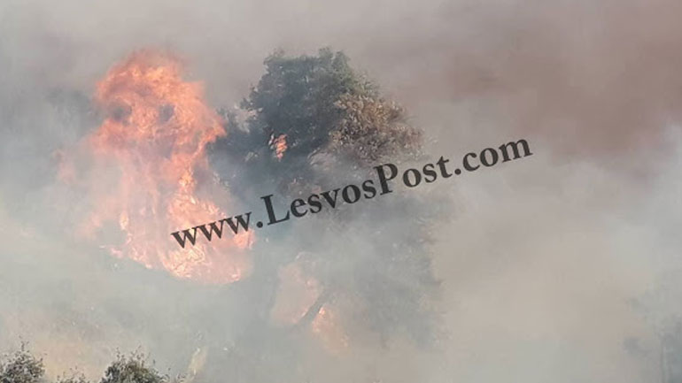 Λέσβος: Μεγάλη φωτιά στο Μεγαλοχώρι Πλωμαρίου