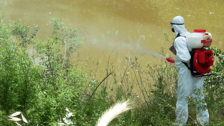 Χανιά: Ξεκίνησαν οι ψεκασμοί για την καταπολέμηση των κουνουπιών