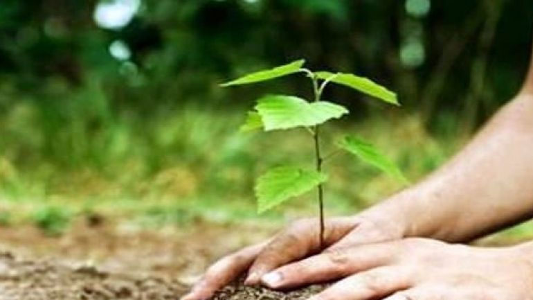 Δήμος Πυλαίας-Χορτιάτη: Δενδροφύτευση για τα 100 χρόνια από τη γενοκτονία των Ποντίων