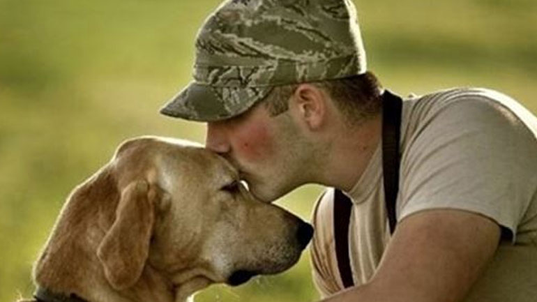 Ανθρώπινες συνήθειες που δεν αρέσουν στα σκυλιά